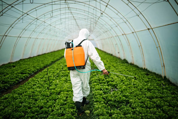 Best Local Pest Control Services  in Streator, IL