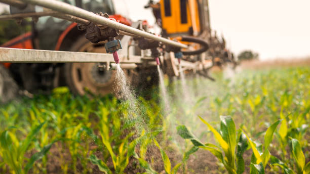 Best Best Pest Control Companies  in Streator, IL